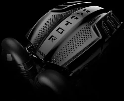 raptor